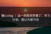 糖心vlog ｜ 这一刻我突然懂了：学习计划，我以为是巧合
