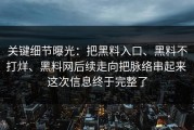 关键细节曝光：把黑料入口、黑料不打烊、黑料网后续走向把脉络串起来 这次信息终于完整了