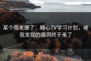 某个周末爆了：糖心TV学习计划，被我发现的漏洞终于来了