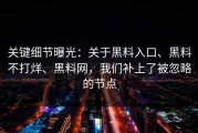 关键细节曝光：关于黑料入口、黑料不打烊、黑料网，我们补上了被忽略的节点