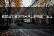 看完我才懂 黑料网从反转原因，复盘到底