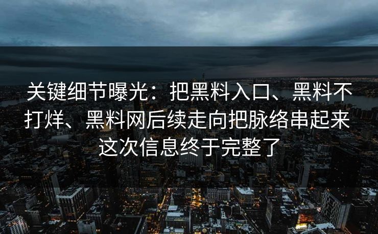 关键细节曝光：把黑料入口、黑料不打烊、黑料网后续走向把脉络串起来 这次信息终于完整了