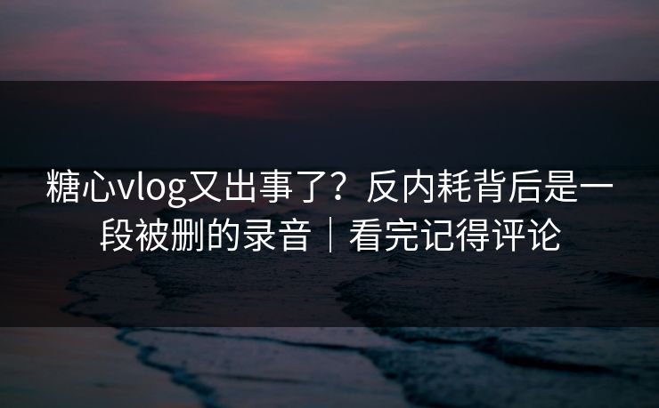 糖心vlog又出事了？反内耗背后是一段被删的录音｜看完记得评论