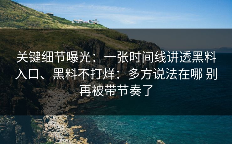 关键细节曝光：一张时间线讲透黑料入口、黑料不打烊：多方说法在哪 别再被带节奏了