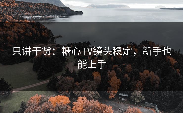 只讲干货：糖心TV镜头稳定，新手也能上手