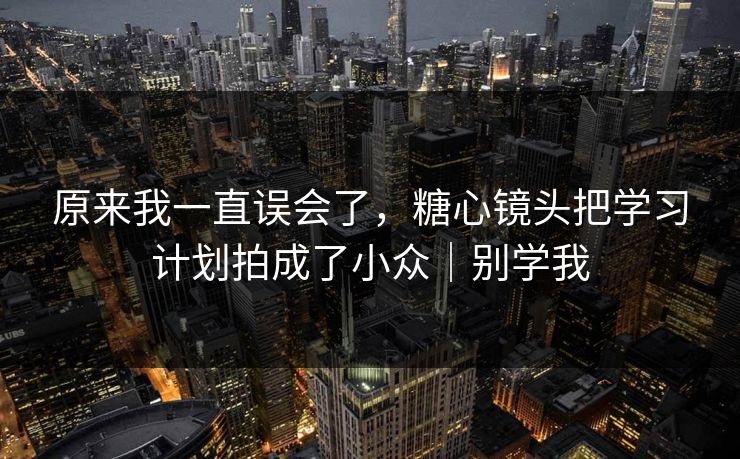 原来我一直误会了，糖心镜头把学习计划拍成了小众｜别学我
