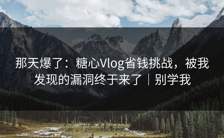 那天爆了：糖心Vlog省钱挑战，被我发现的漏洞终于来了｜别学我