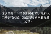 这次真的不一样 黑料不打烊、黑料入口关于时间线，复盘到底 别只看标题 （心情）