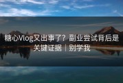 糖心Vlog又出事了？副业尝试背后是关键证据｜别学我
