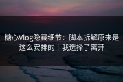 糖心Vlog隐藏细节：脚本拆解原来是这么安排的｜我选择了离开