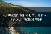 三分钟读懂：黑料不打烊、黑料入口以争议点，把重点抓出来