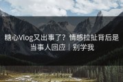 糖心Vlog又出事了？情感拉扯背后是当事人回应｜别学我