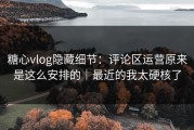 糖心vlog隐藏细节：评论区运营原来是这么安排的｜最近的我太硬核了