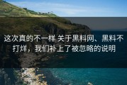 这次真的不一样 关于黑料网、黑料不打烊，我们补上了被忽略的说明