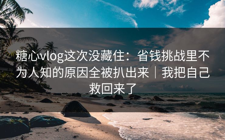 糖心vlog这次没藏住：省钱挑战里不为人知的原因全被扒出来｜我把自己救回来了