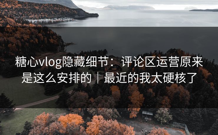糖心vlog隐藏细节：评论区运营原来是这么安排的｜最近的我太硬核了