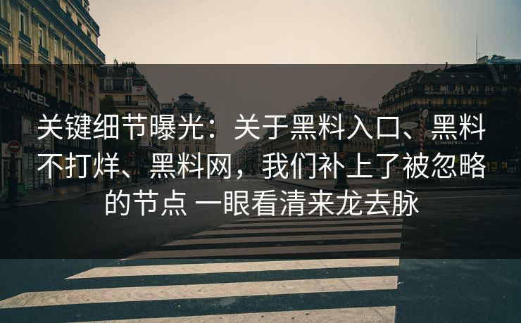 关键细节曝光：关于黑料入口、黑料不打烊、黑料网，我们补上了被忽略的节点 一眼看清来龙去脉