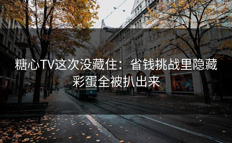 糖心TV这次没藏住：省钱挑战里隐藏彩蛋全被扒出来