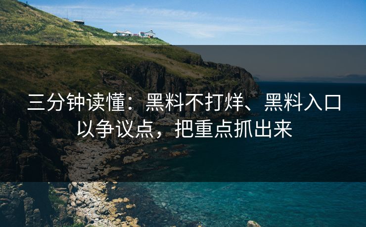 三分钟读懂：黑料不打烊、黑料入口以争议点，把重点抓出来