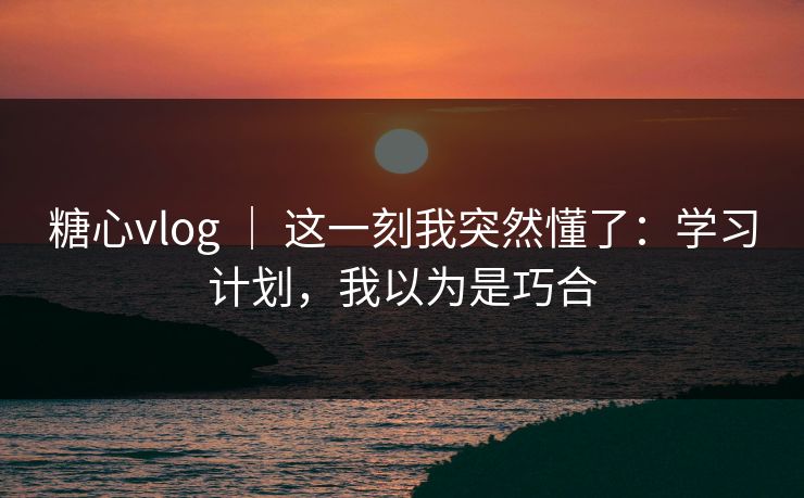 糖心vlog ｜ 这一刻我突然懂了：学习计划，我以为是巧合